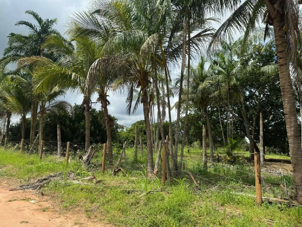 Chácara disponível em Cacoal