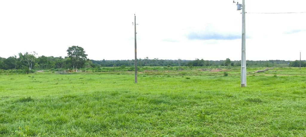 Sitio em Presidente Medici 49ha