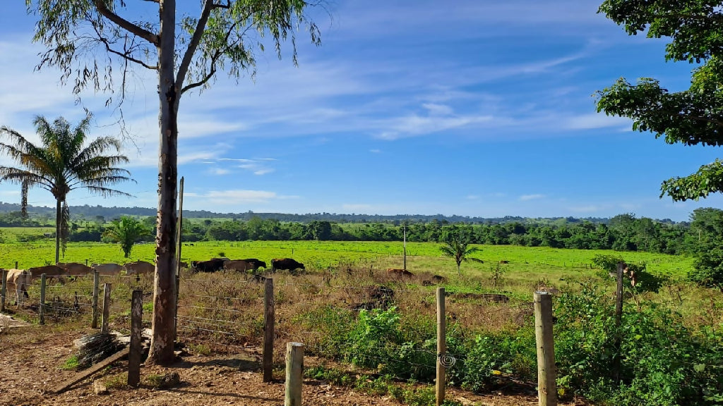 Fazenda Urussanga a venda 204 alqueires