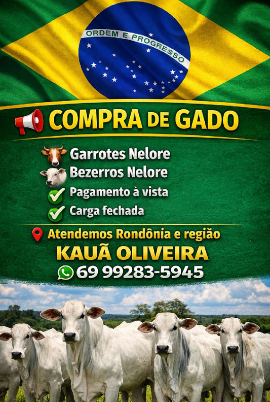 Compra aberta para garrote