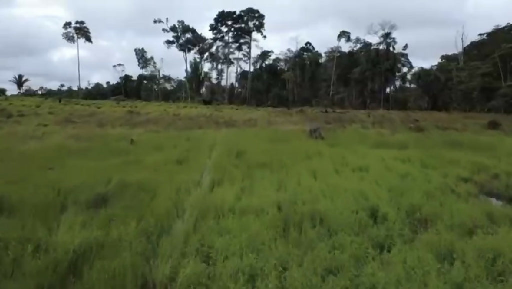 Chácara de 3-3 alqueires para venda