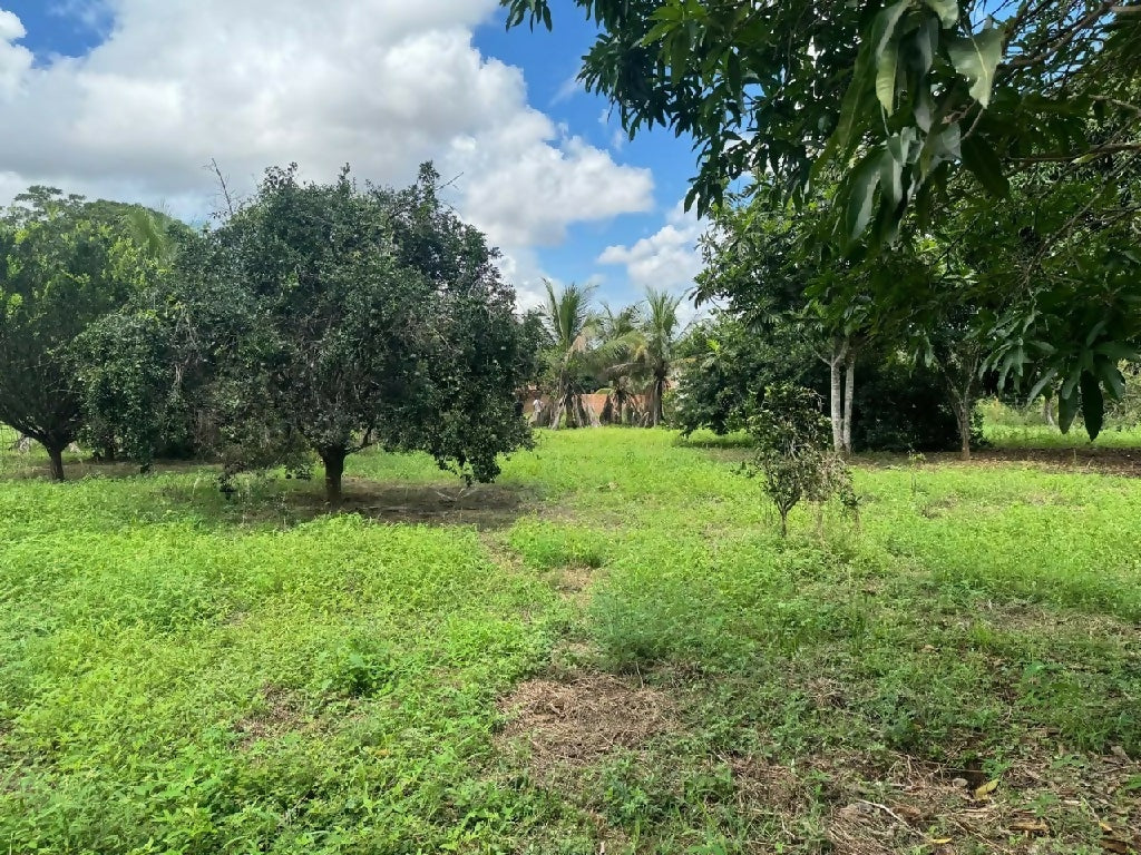 Chácara disponível em Cacoal