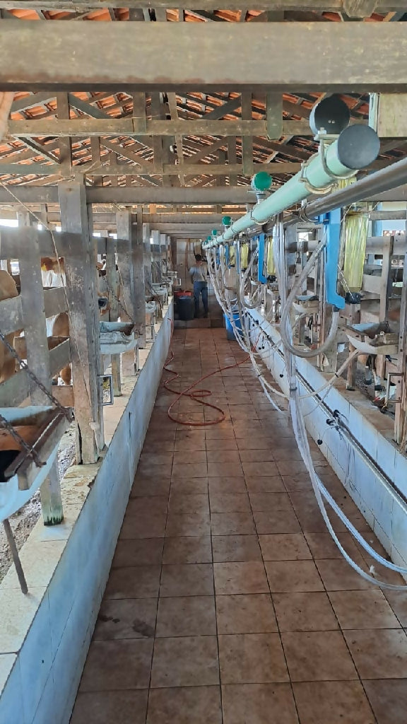 Fazenda Urussanga a venda 204 alqueires