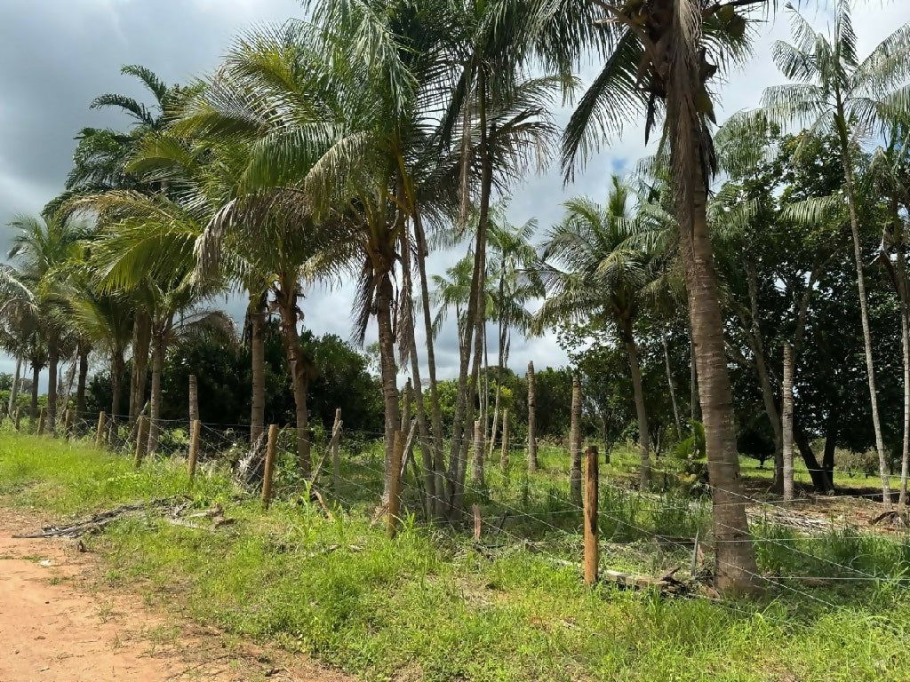 Chácara disponível em Cacoal