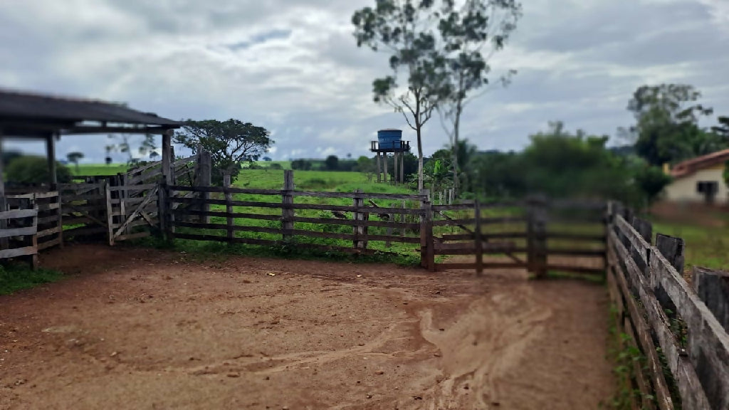 Fazenda Urussanga a venda 204 alqueires