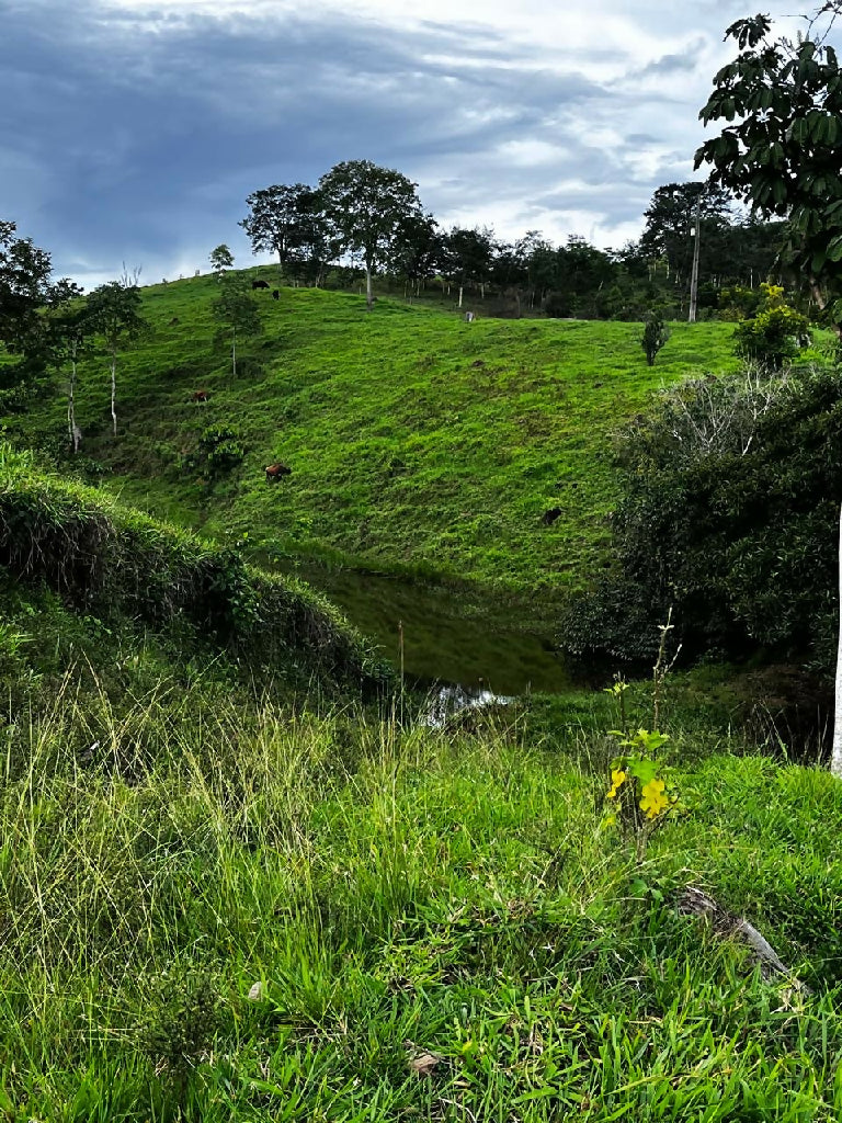 b6fb4187-812a-4765-8698-914a5ffbc45a