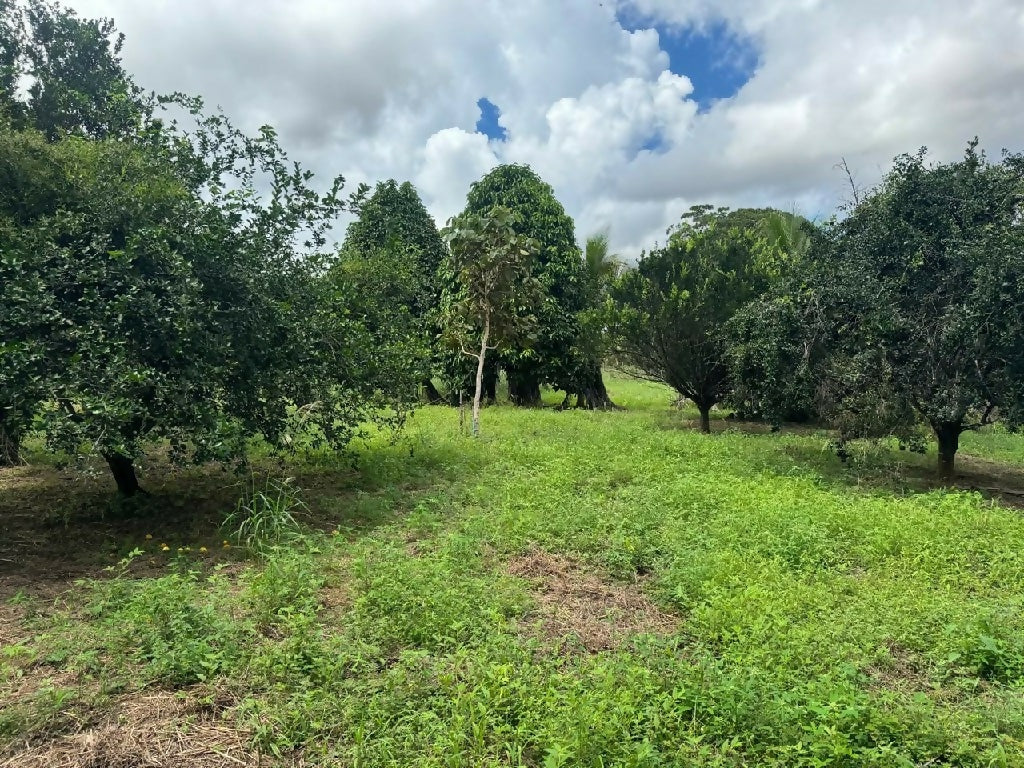 Chácara disponível em Cacoal