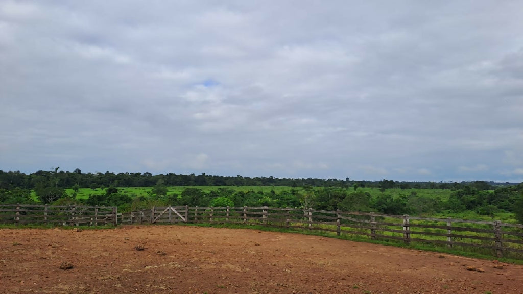 Fazenda Urussanga a venda 204 alqueires