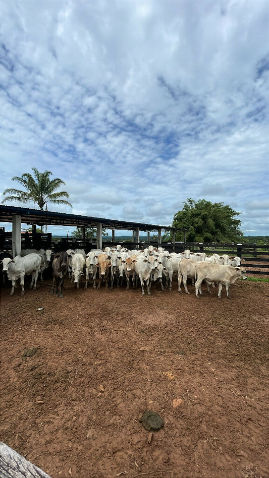 89392370-FF6B-4C40-AF32-118B453BAA26