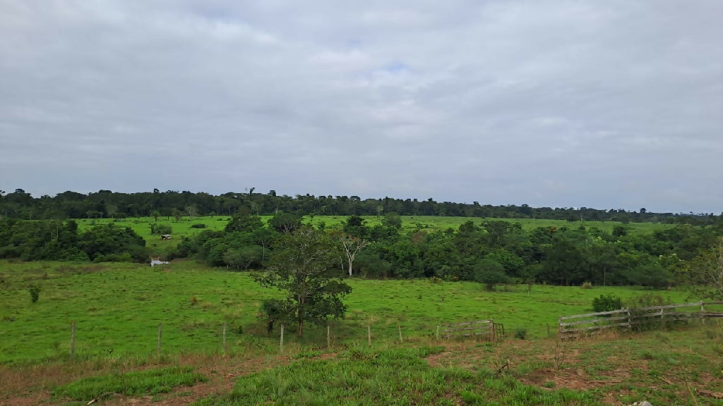 Fazenda Urussanga a venda 204 alqueires