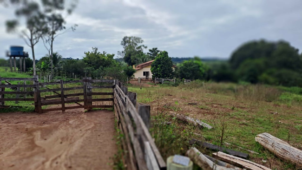 Fazenda Urussanga a venda 204 alqueires