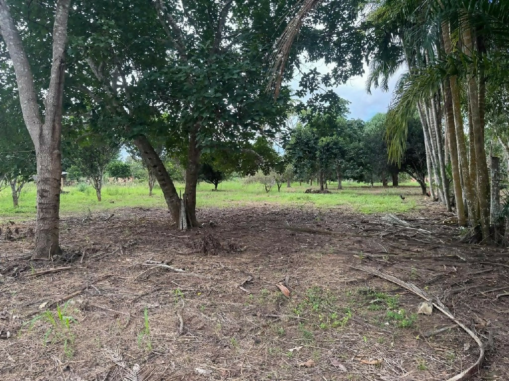 Chácara disponível em Cacoal