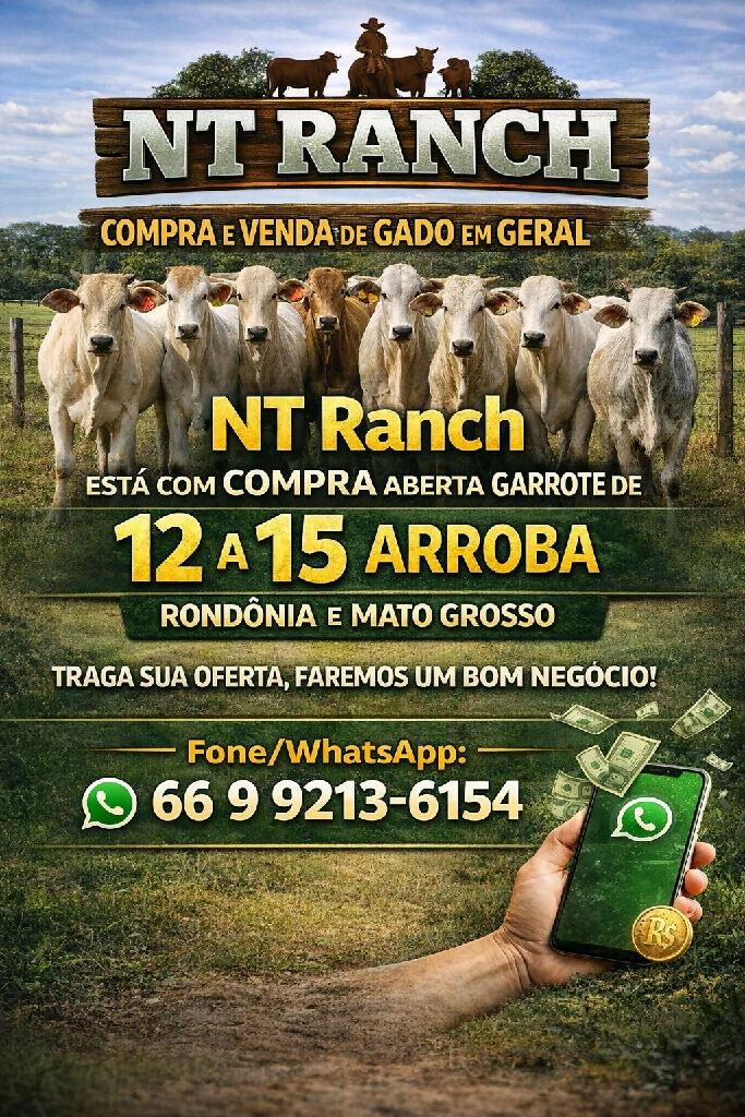 Compra aberta para garroto