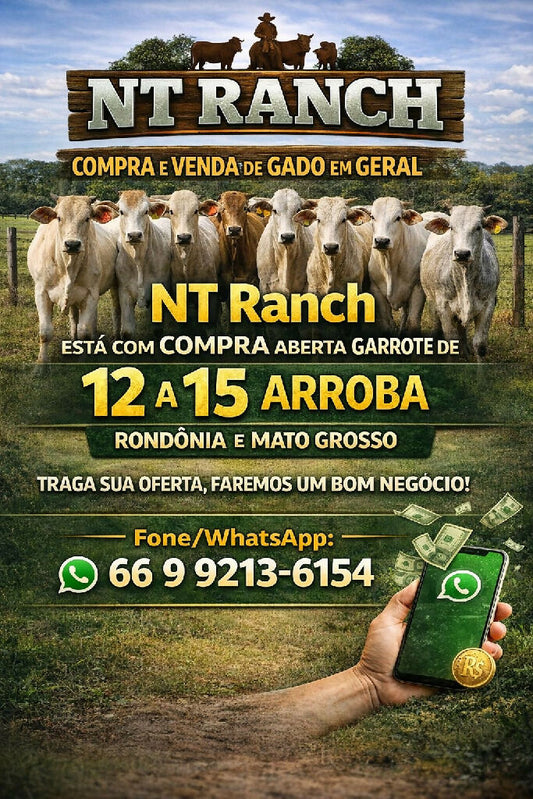 Compra aberta para garroto