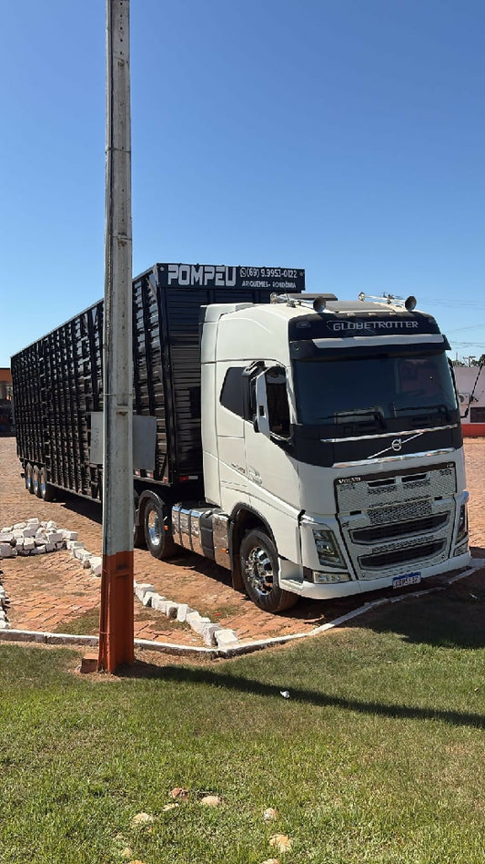 Caminhão disponível para frete