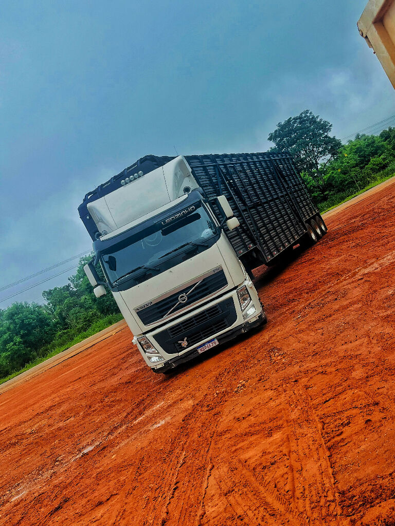 Caminhão disponível para frete