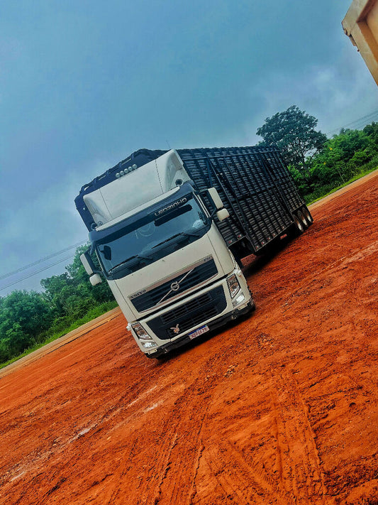 Caminhão disponível para frete