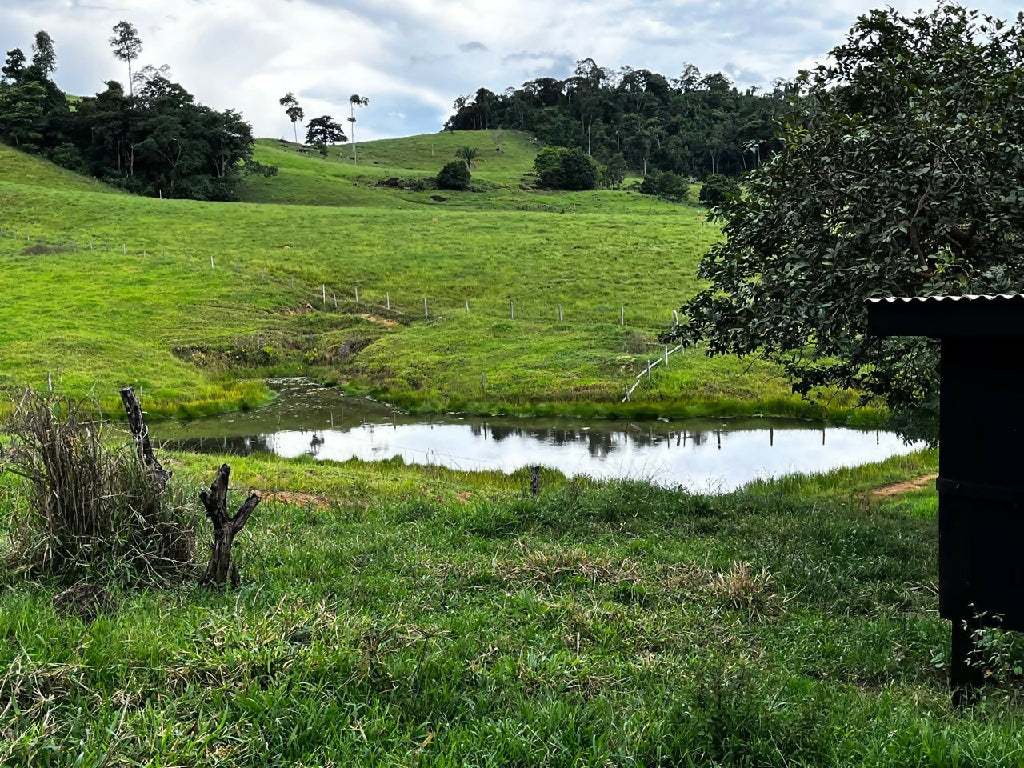 f1119dfd-1312-452b-8e8b-bd0f8a966772