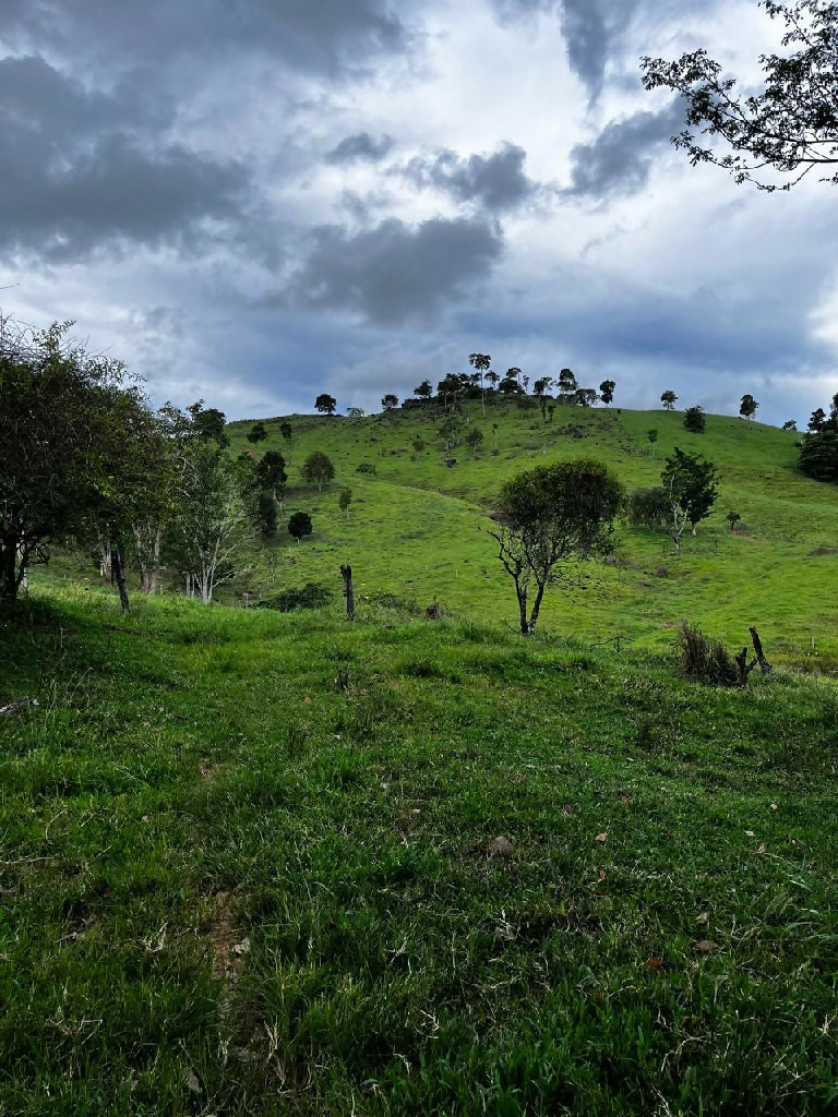 f1e2d9c5-7b87-4707-aef8-c0d6af67cb4e