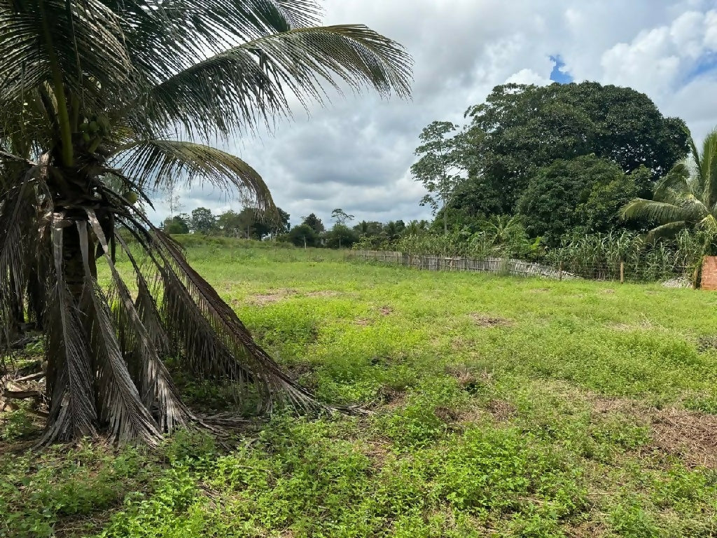 Chácara disponível em Cacoal