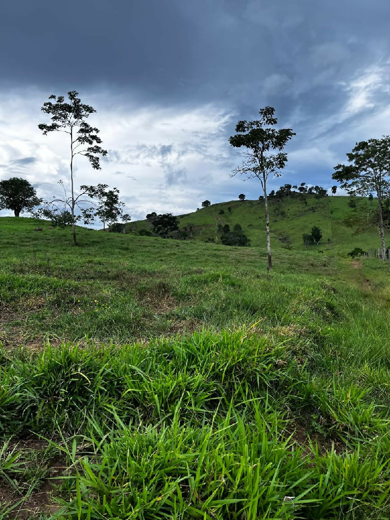 773a0c21-a418-4d9f-b919-6c75361d926a