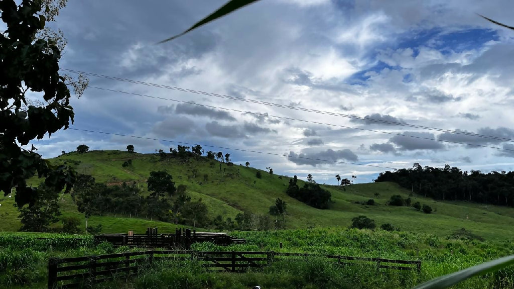 dfaee545-d39b-4924-a450-4e48593dd818