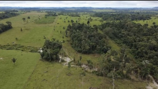 Chácara de 3-3 alqueires para venda